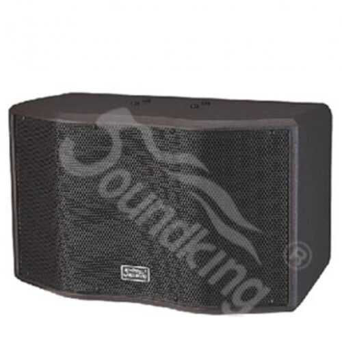 soundking-sk10-amthanhviet